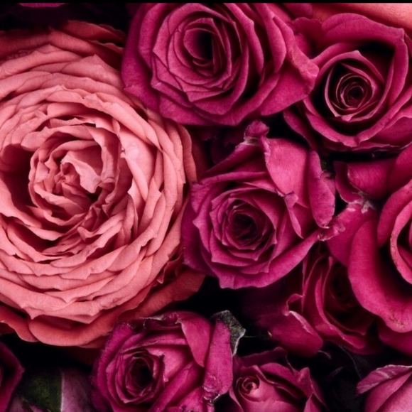 Welcome to Belle of the Ball "like" to bookmark my Boutique 💃 - Picture 2 of 12